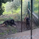 Ecofurtado Furtado