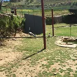 Ecofurtado *