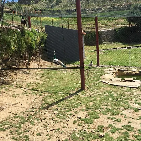 Ecofurtado *
