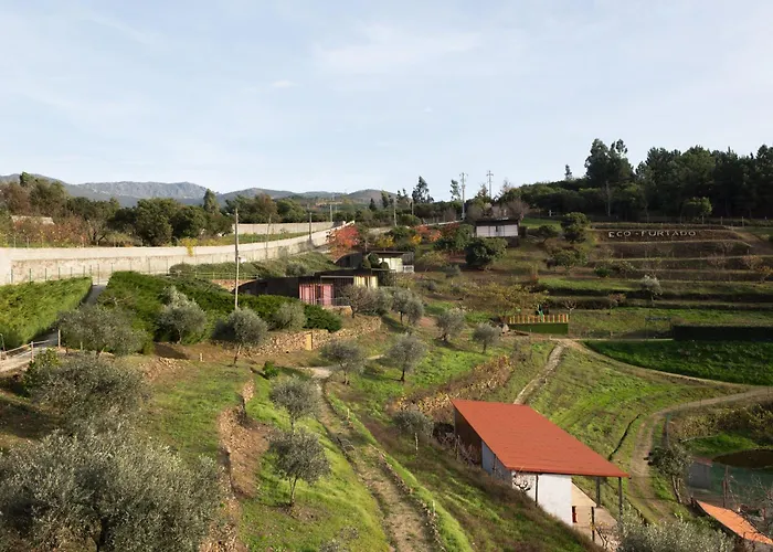 Ecofurtado *