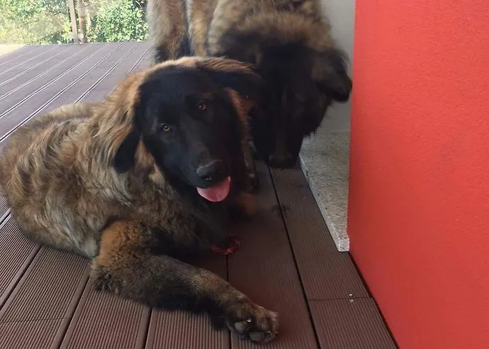 Casa vacanze Ecofurtado